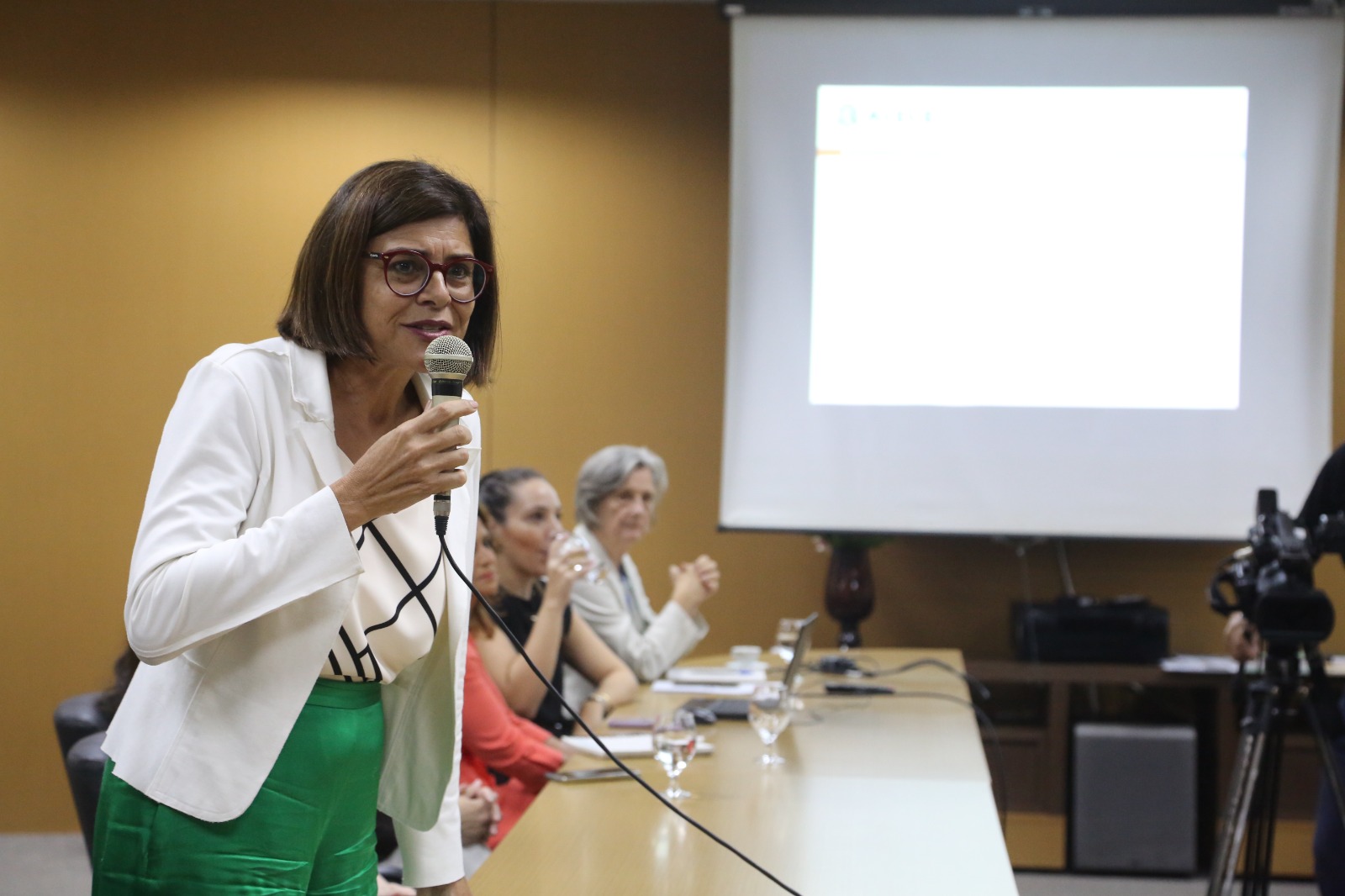 Luíza Martins, secretária executiva do Conselho, durante a apresentação