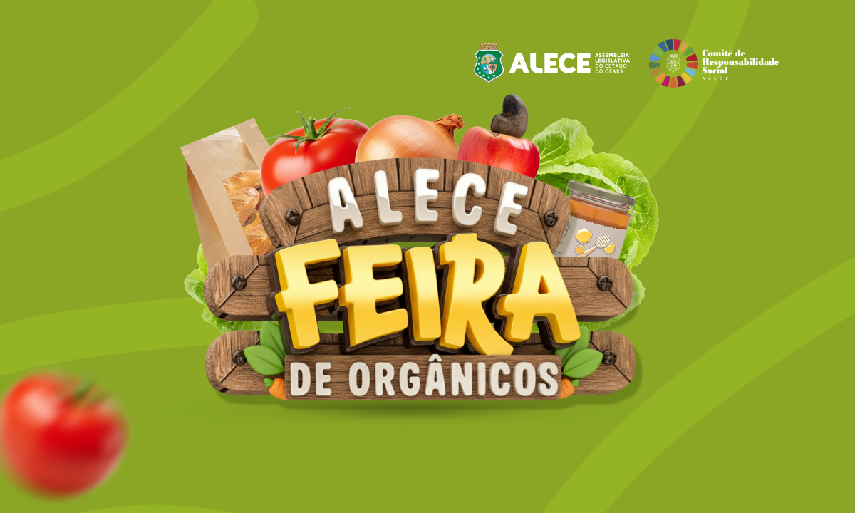 - Arte: Núcleo de Publicidade da Alece
