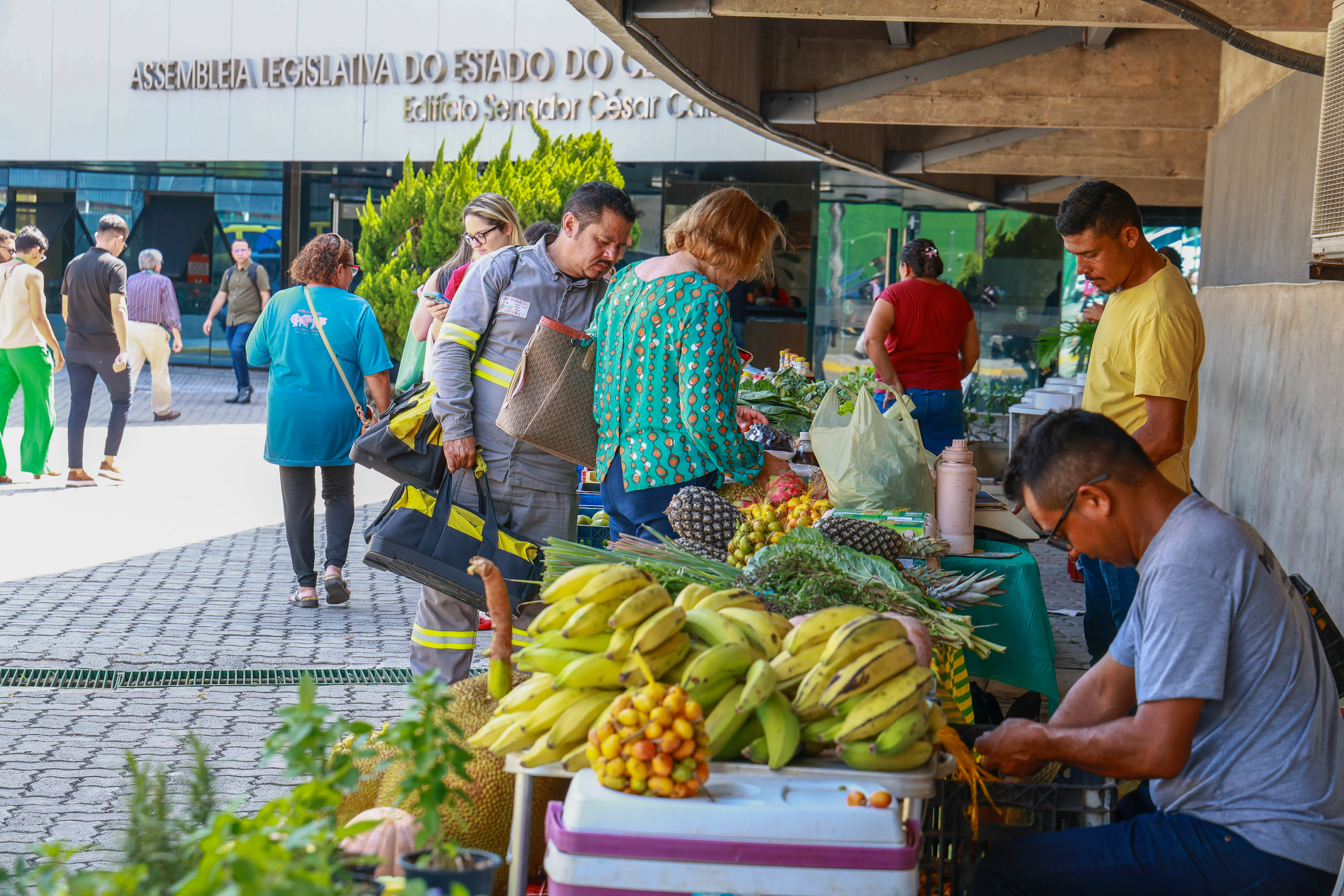 Feira passa a ser realizada na primeira quarta-feira do mês - Foto: Máximo Moura