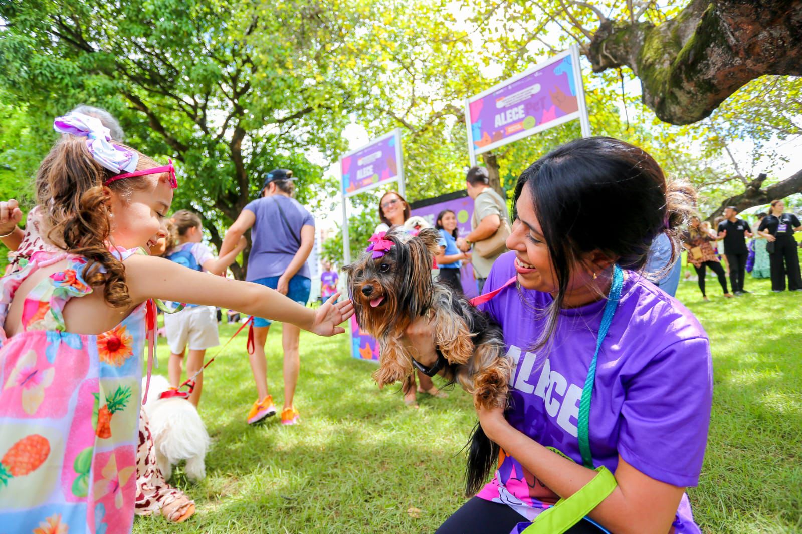 - Foto: Dário Gabriel